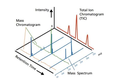 total ion chromatogram|Overview of GCMS : SHIMADZU (Shimadzu Corporation).